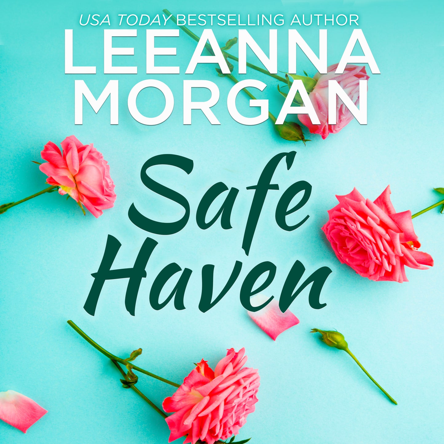 Safe Haven
