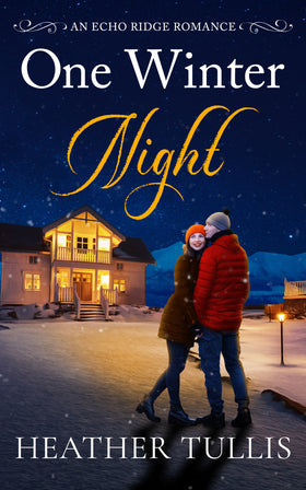 One Winter Night