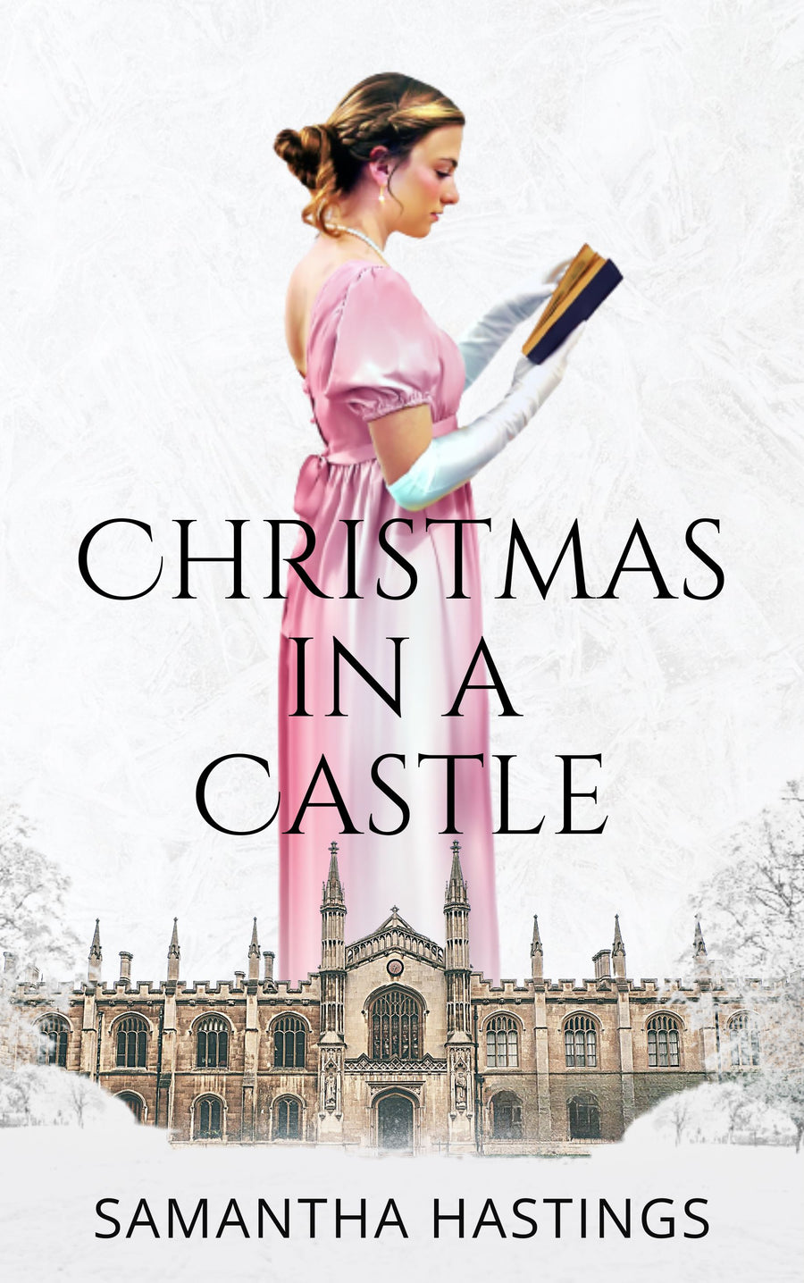 Christmas in a Castle