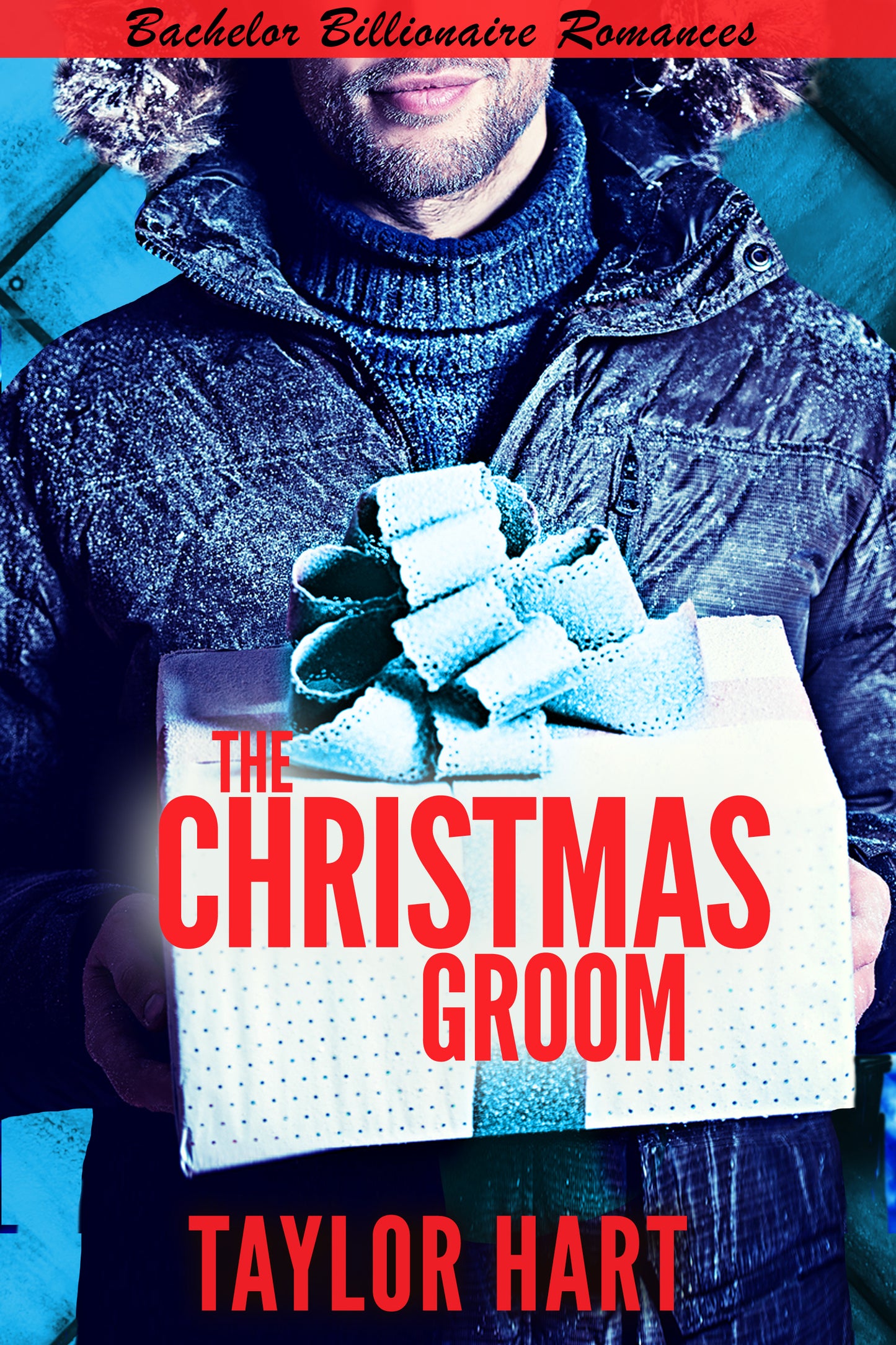 The Christmas Groom