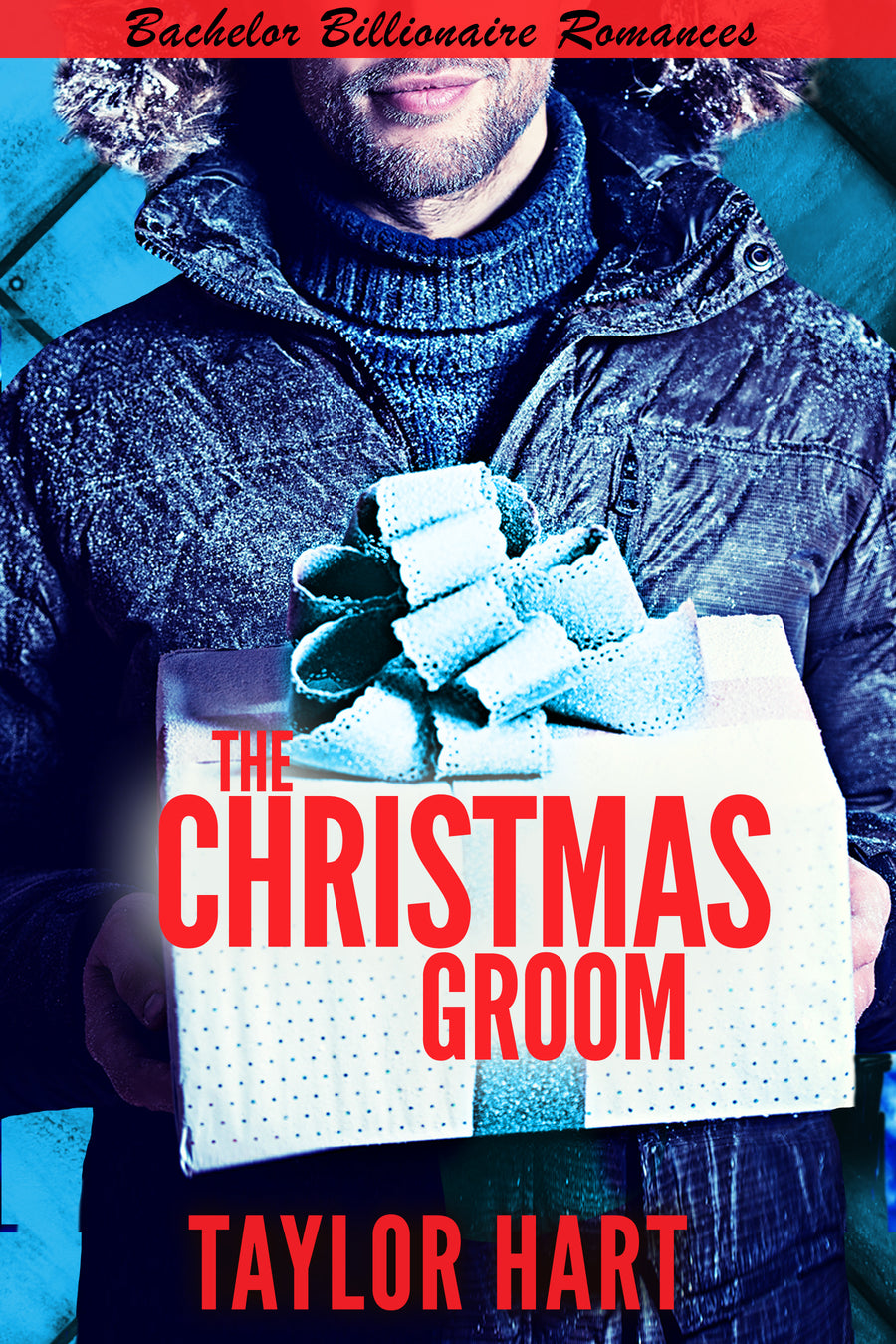 The Christmas Groom