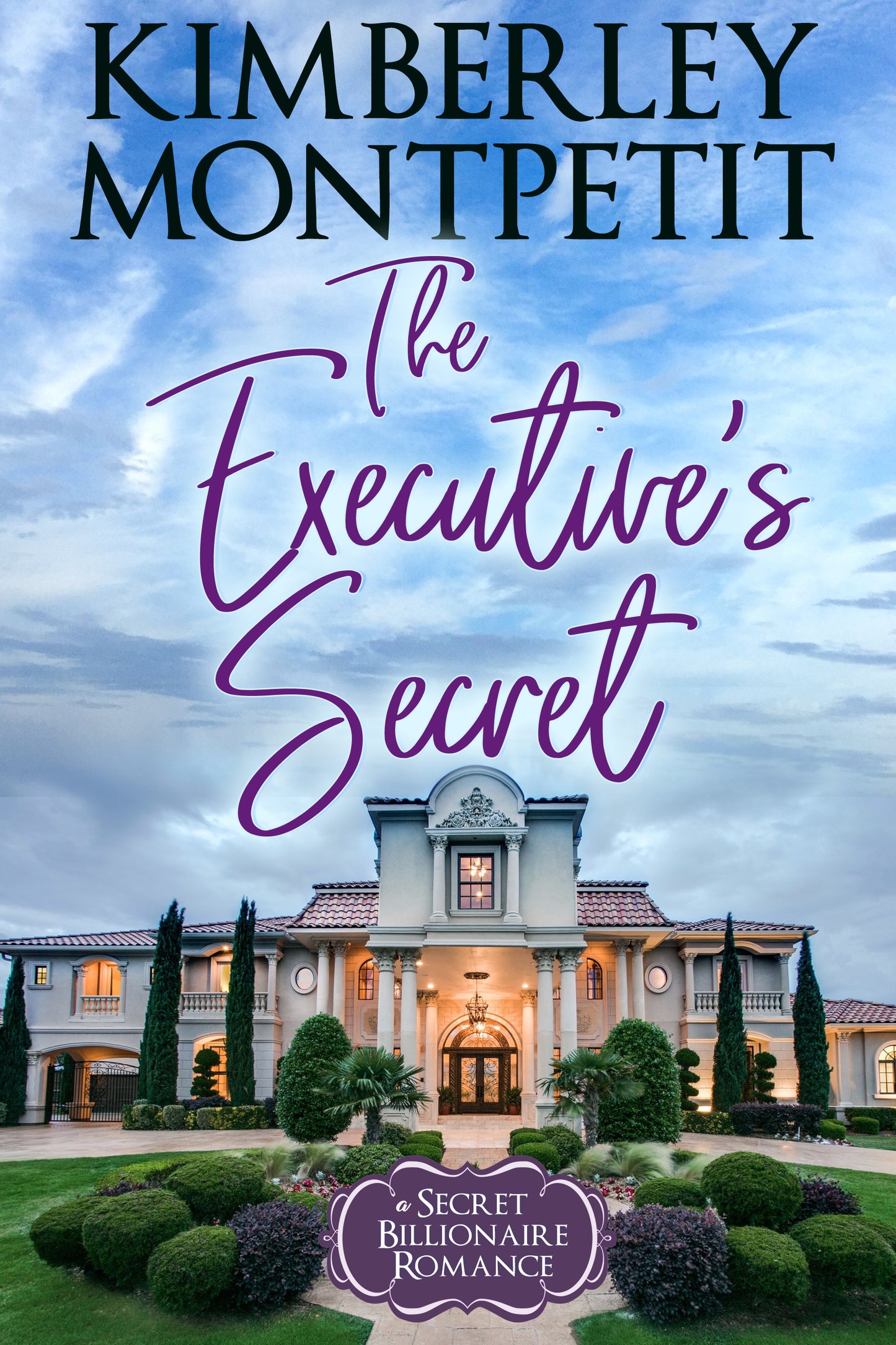 THE EXECUTIVE’S SECRET: A Secret Billionaire Romance